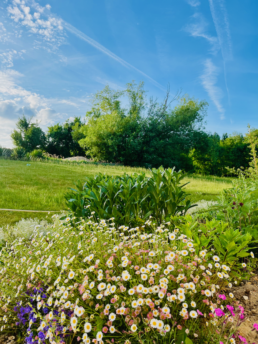 jardin-fleuri.png